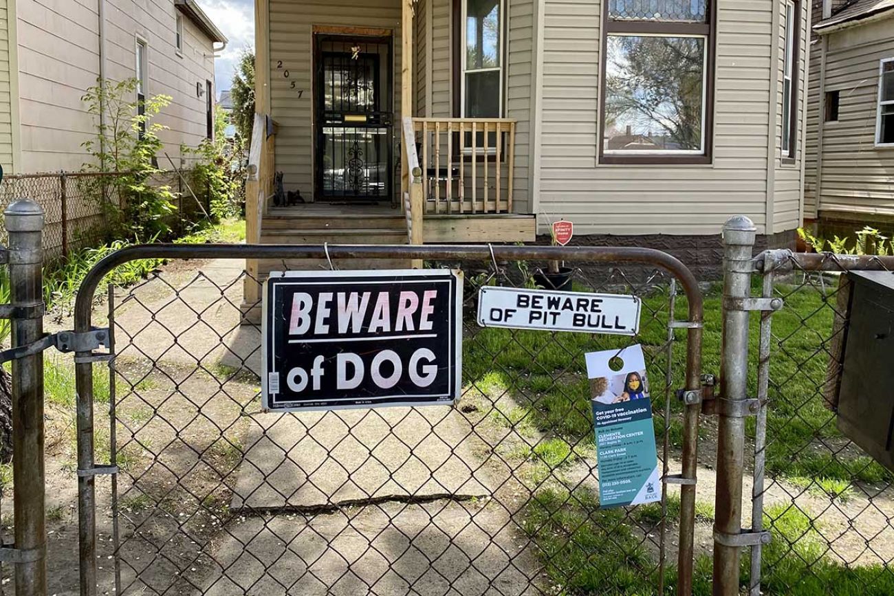 Fences, locked gates and especially dogs keep canvassers from getting on porches and making critical face-to-face contact. 