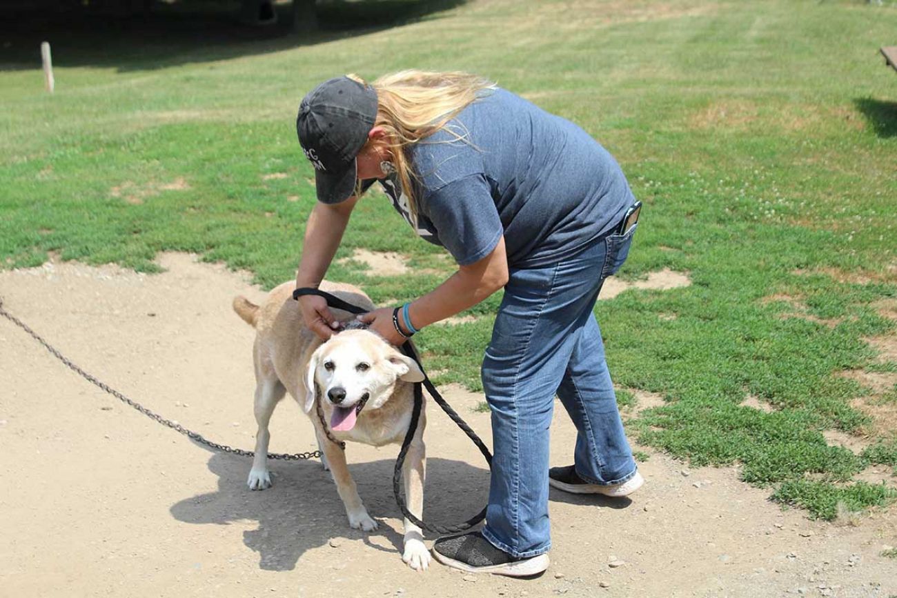 Lori Beard with Luke, a Golden Retriever and Coonhound mixed dog