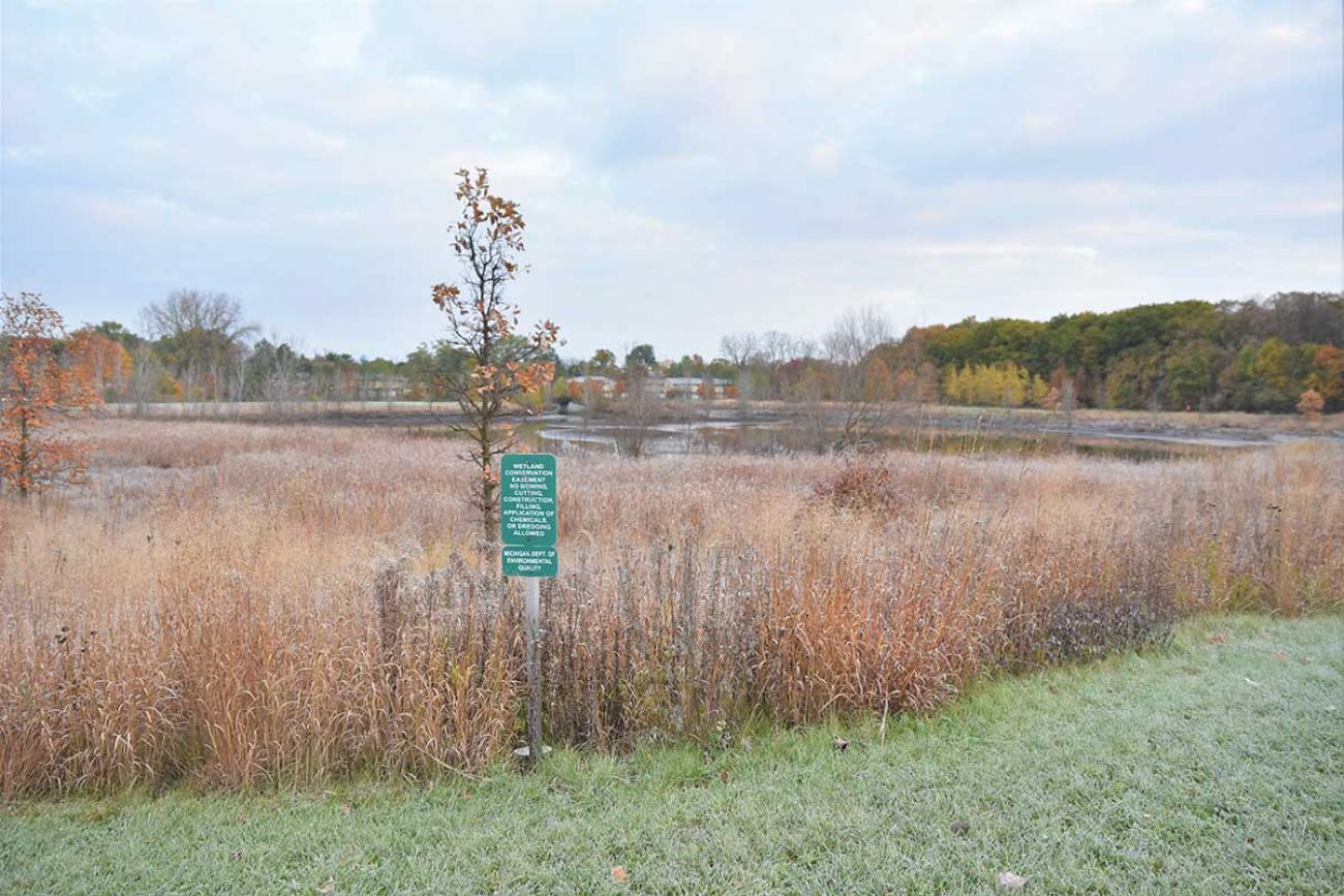 Mary Beth Doyle Park in Ann Arbor