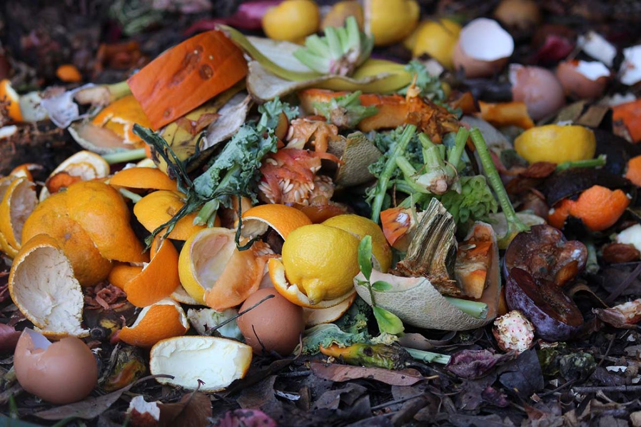 orange peels and other food scraps