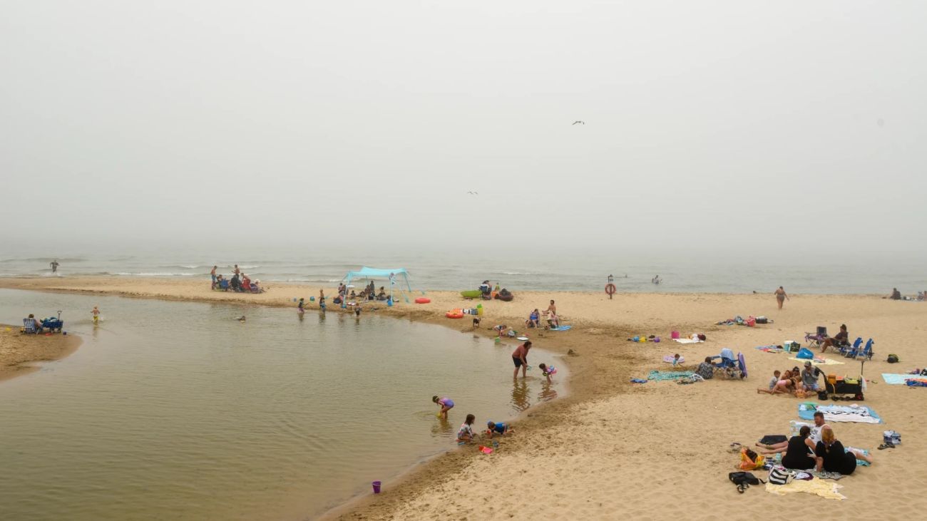 people at the beach