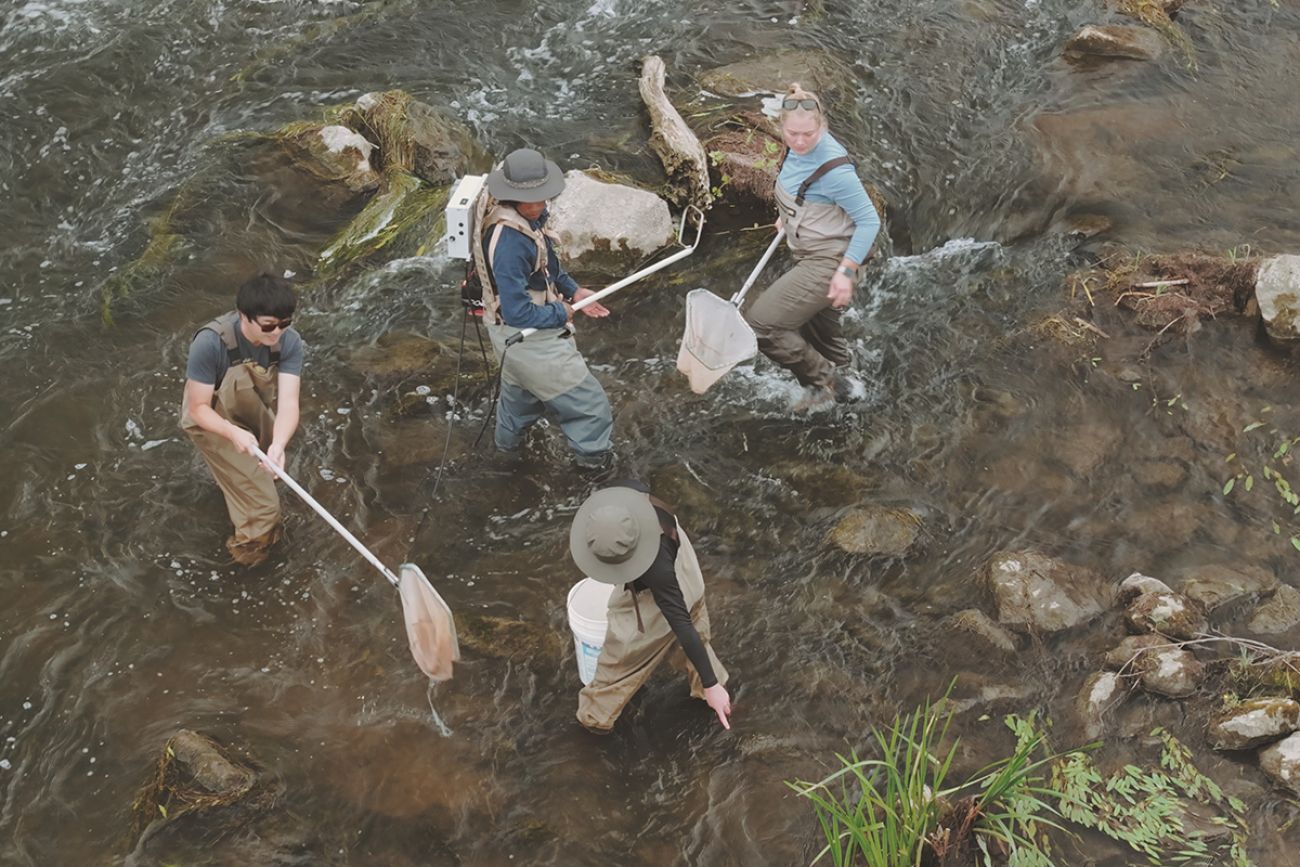 people in a river