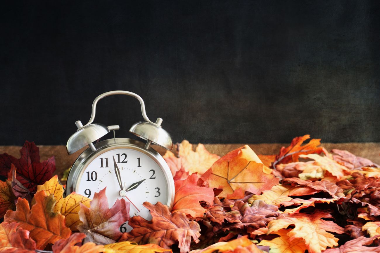  Alarm clock in colorful autumn leaves against a dark background with shallow depth of field and free space for text. Daylight savings time concept.