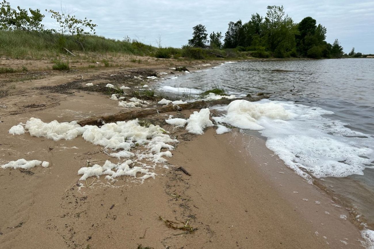 foam on the beach