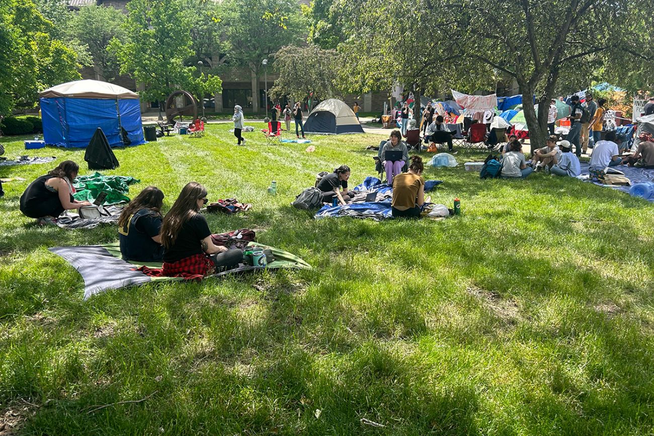 Students hanging out on the grasss