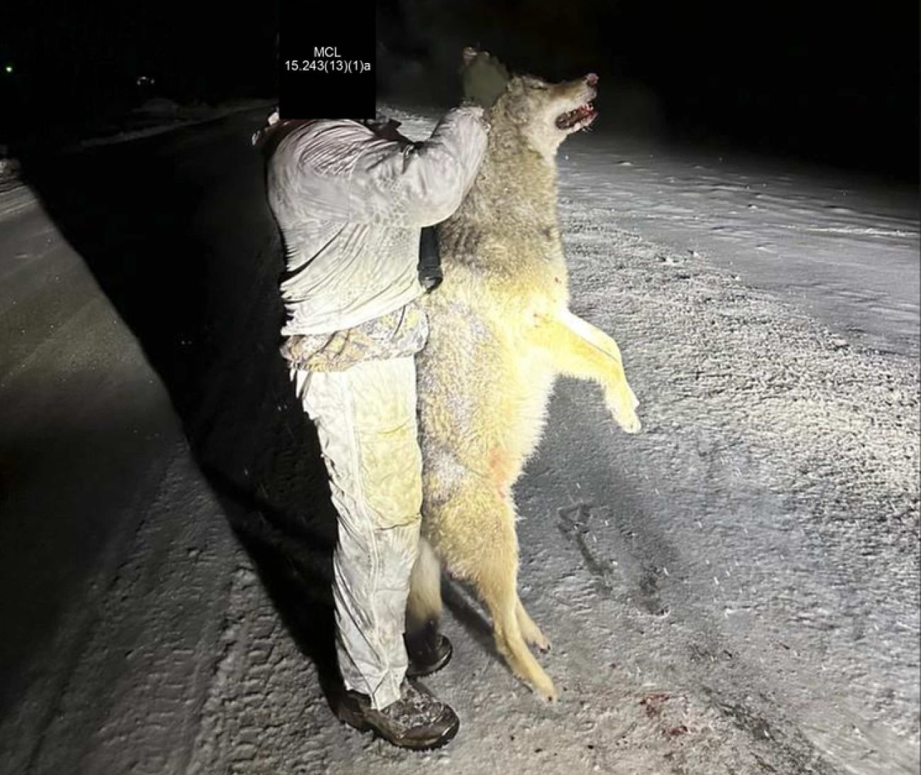 Man holding up up a dead wolf