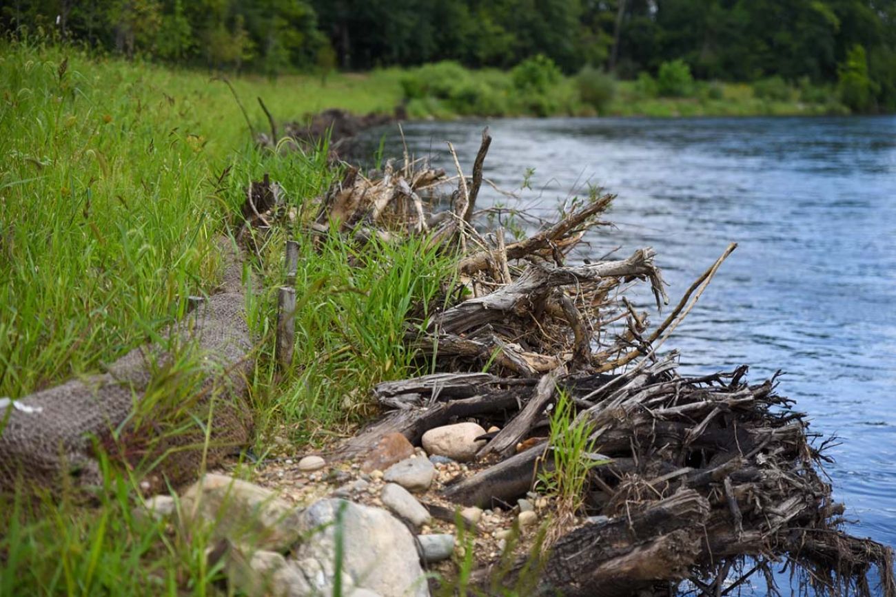 Tree trunks are embedded into the outer bank of one curve in the Kalamazoo River