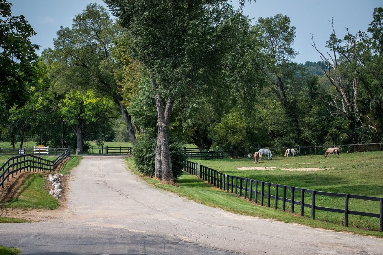 A farm with horses