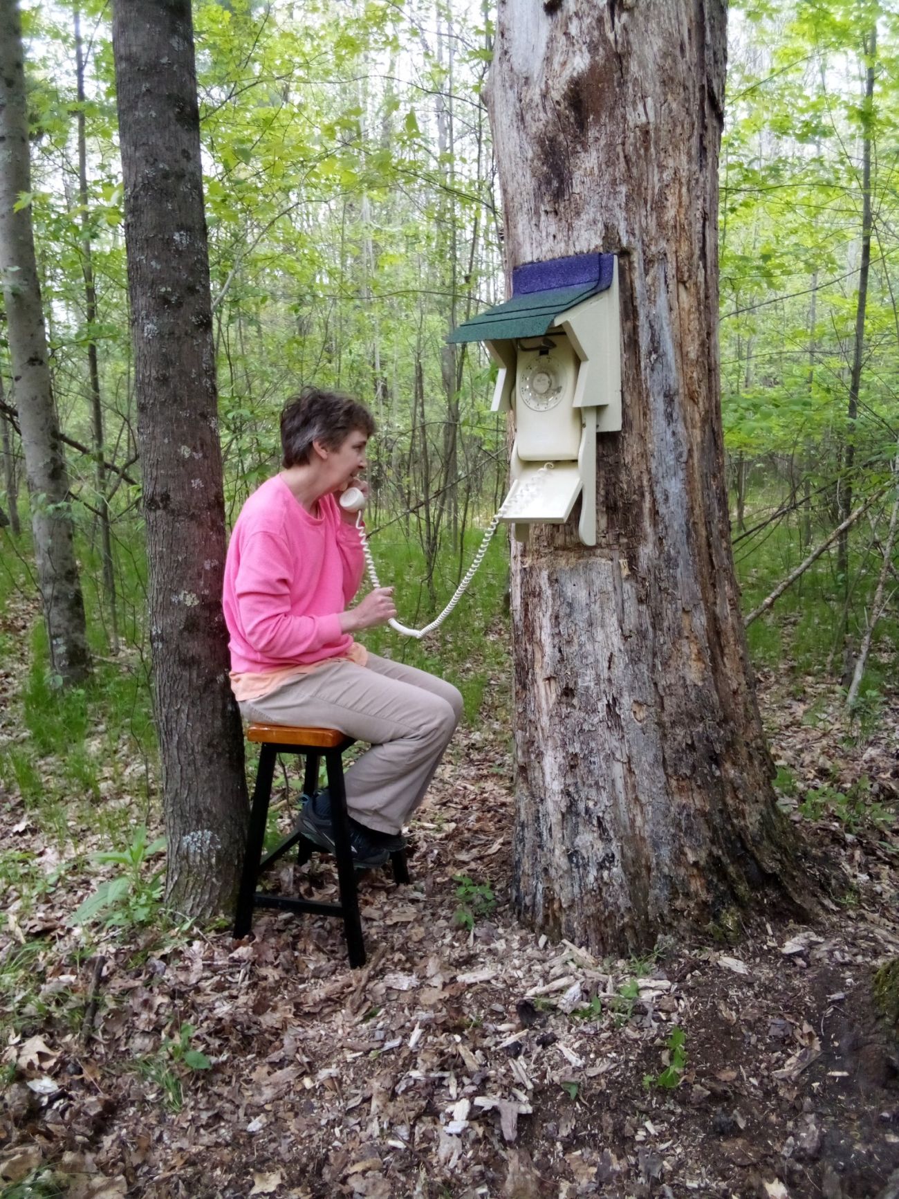 Tracey Mayeda speaks into a phone with no dialtone that's attached to a tree