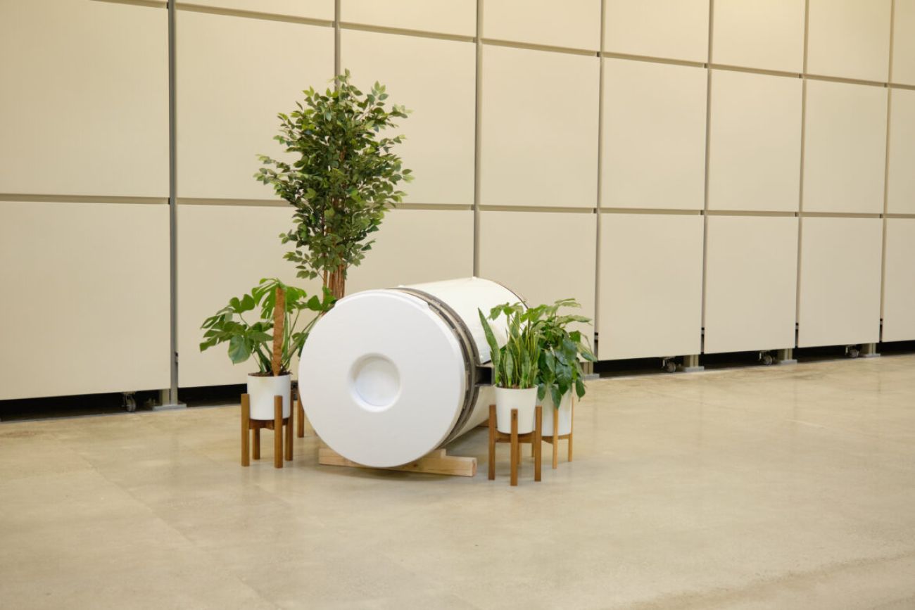 White vessel with plants