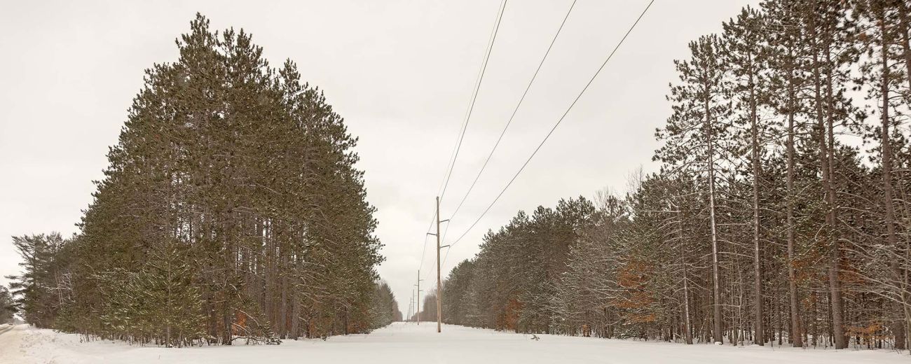 Power line cuts through trees. It's snowy outside