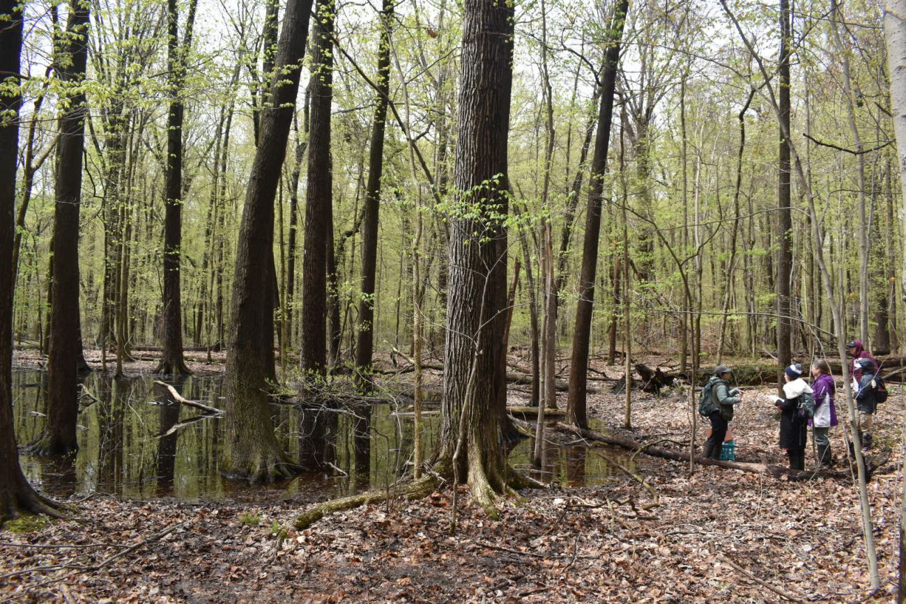 A group of people in the forrest. 