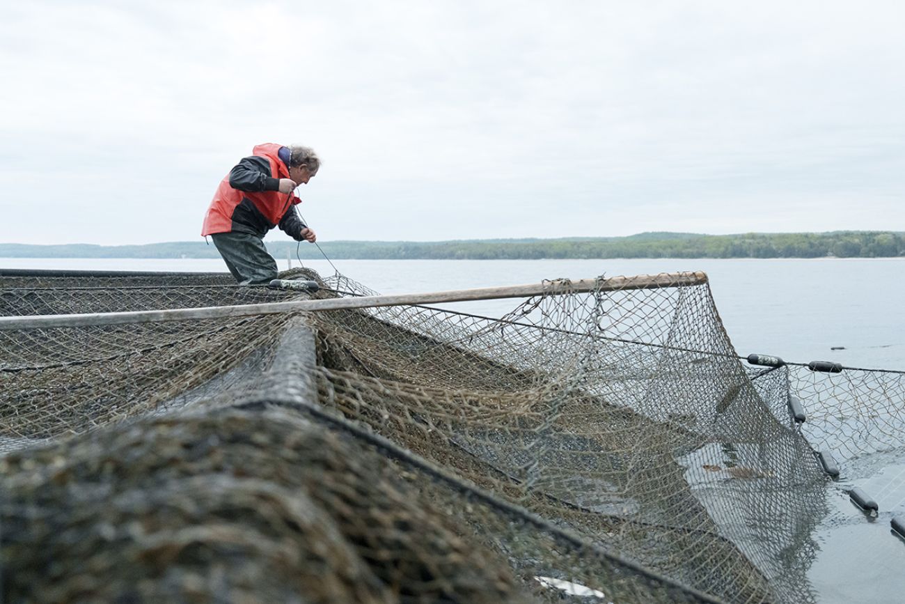 A man standing next to nests. 