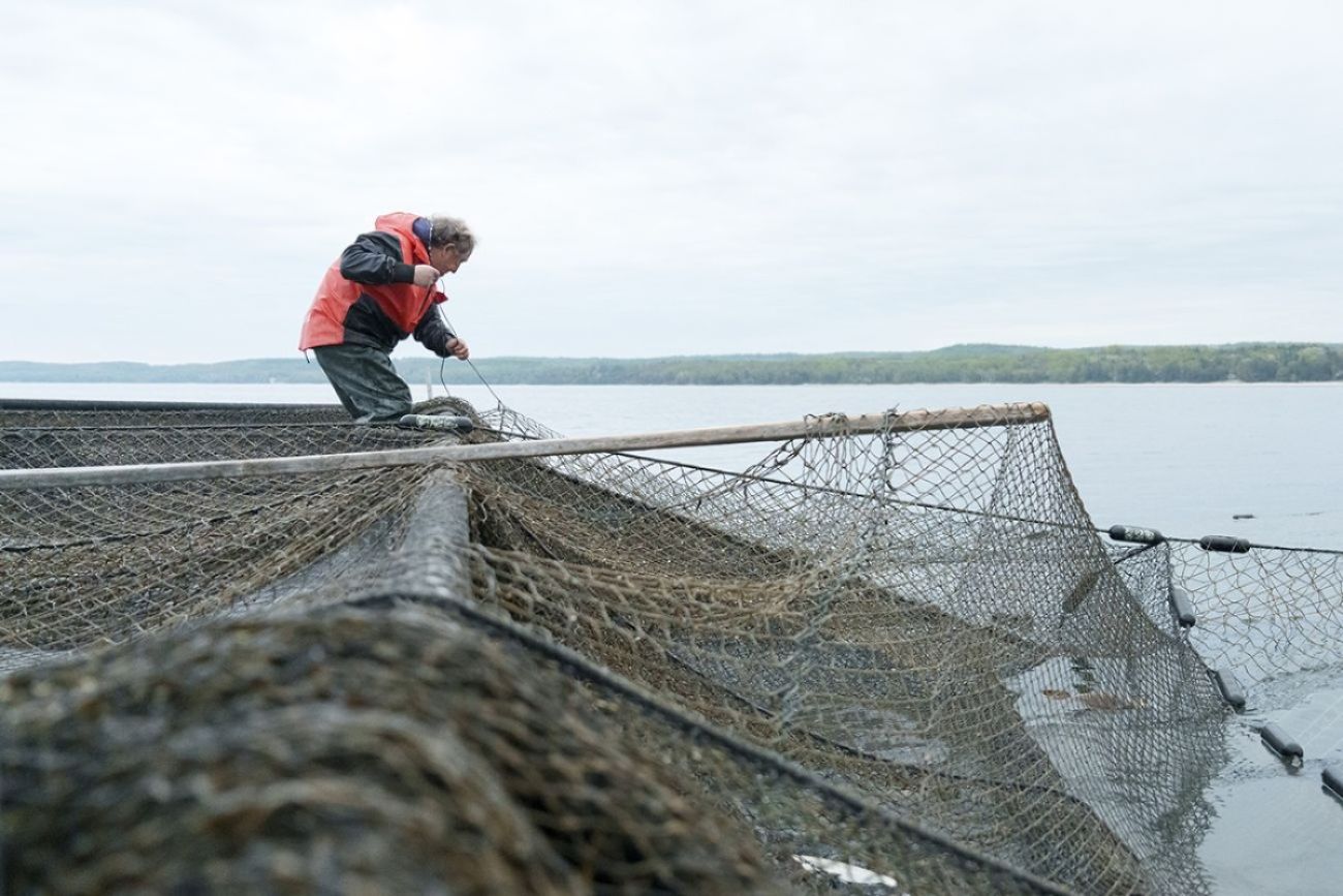 A fisherman stands amid big nets on the deck of a boat on the Great Lakes