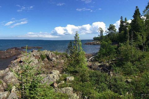 The timberlands that cover most of Keweenaw County