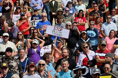 Crowds of protestors in Lansing 