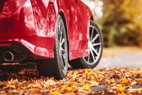 Red car on the road with leaves on the ground