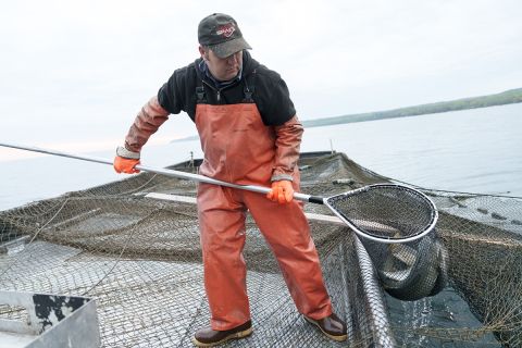 Joel Petersen carries a net of whitefish. He is wearing orange overalls.