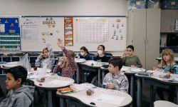 Students raising hands