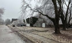 ice tree with a tree on the ground