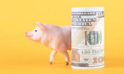 Piggy model and a roll of dollar bills