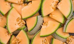 cantaloupe slices