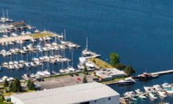 A view of the shore of Muskegon Lake. Lots of boats