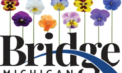 bridge michigan spring logo