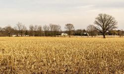 Farmland in Livingston County.