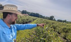 Chad Reenders is wearing a white cowboy hat and blue shirt. He is in a farm 