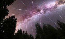 A view of a Meteor Shower and the purple Milky Way with pine trees forest silhouette in the foreground.