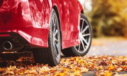 Red car on the road with leaves on the ground