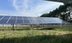 Solar panels in field