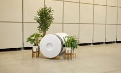 White vessel with plants