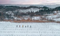 Snowshoers exploring a snowy wineyard in Michigan. 