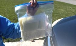 Bag of milk
