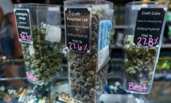 Marijuana is seen in jars on a counter at a marijuana dispensary