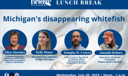 A photo graphic showing the four participants in an upcoming Zoom discussion