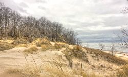 saugatuck dunes